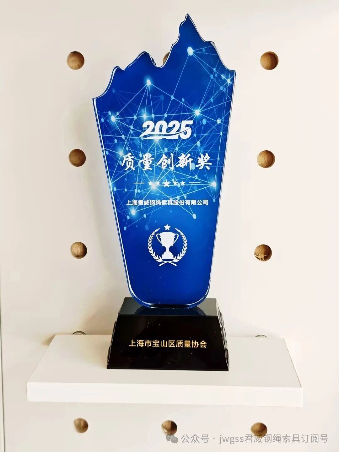 Ibevictor伟德钢索摘得 “2025 质量创新奖”